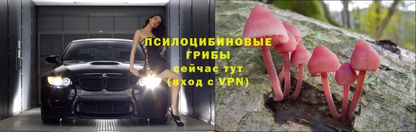 молекула духа Киренск