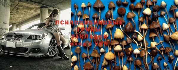 молекула духа Киренск